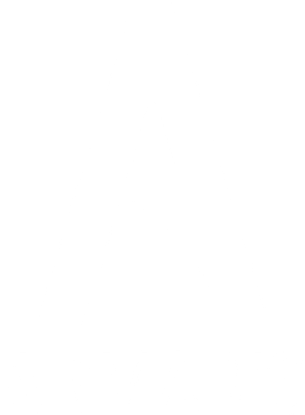 ARMAR'S